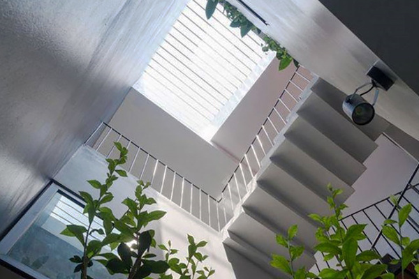 Giếng trời từ một góc nhìn khác